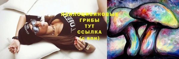 мет Нягань