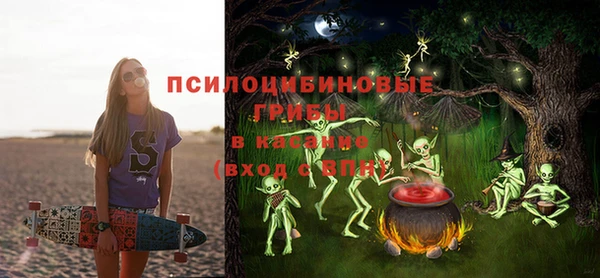 мет Нягань