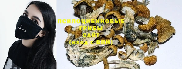 мет Нягань