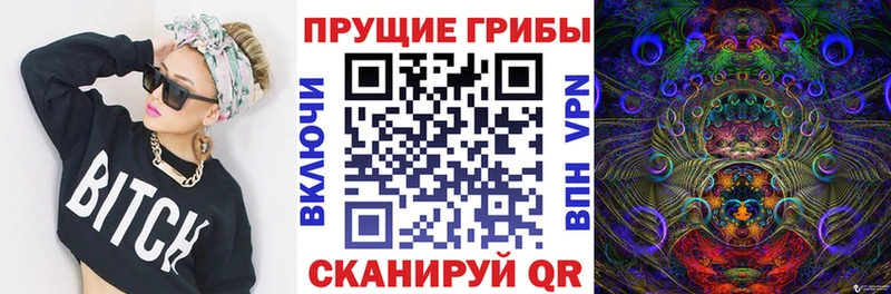 купить закладку Тихорецк Псилоцибиновые грибы ЛСД
