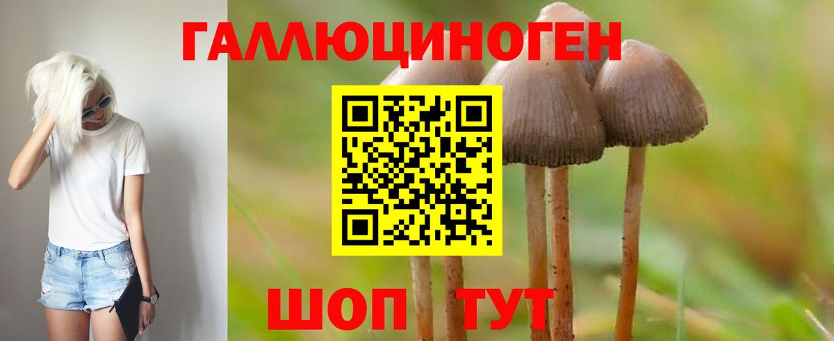 Галлюциногенные грибы ЛСД  Вход с VPN  Тихорецк  Псилоцибиновые грибы Psilocybe 
